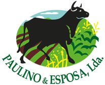 Paulino e Esposa Logo