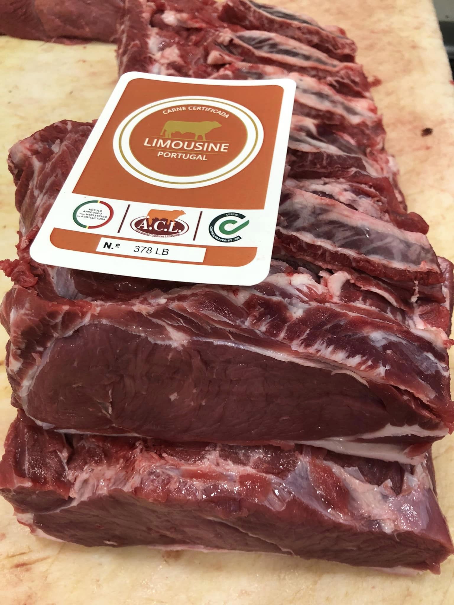 362127241_832510575139566_4541712521055600137_n